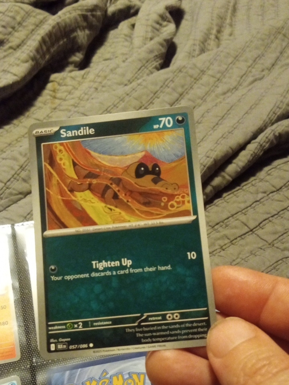 Pokemon Sandile Trading Card - Teal and Brown Artwork
